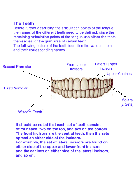 The image “http://abouttajweed.com/teeth.gif” cannot be displayed, because it contains errors.